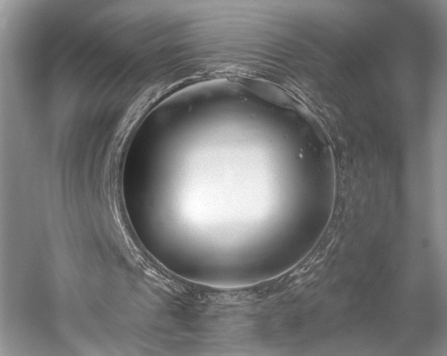 X0000059820241200510211154