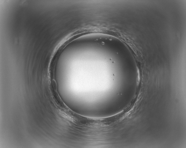 X0000059820246200510211154