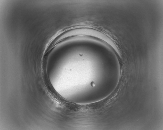 X0000059820248200510211154