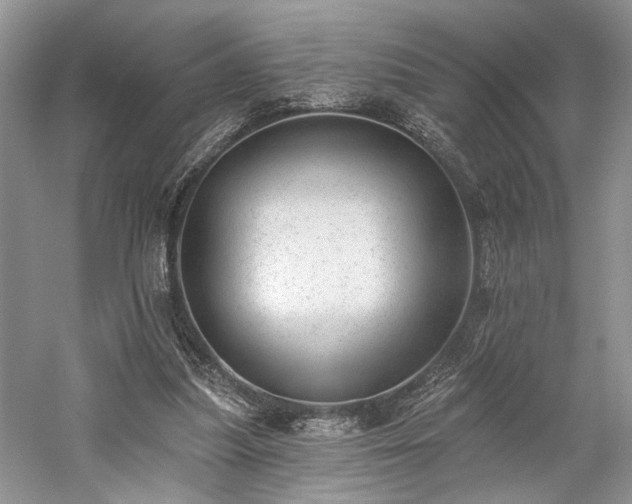 X0000059820251200510211154