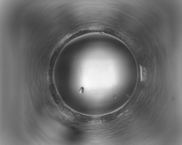 X0000059820252200510211154