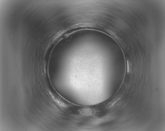 X0000059820253200510211154