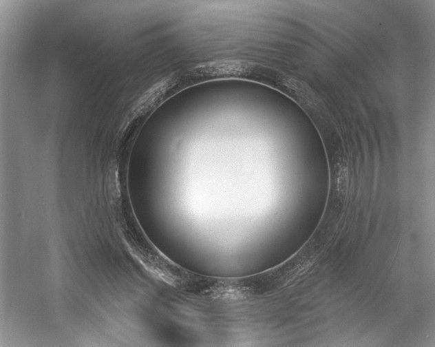 X0000059820254200510211154