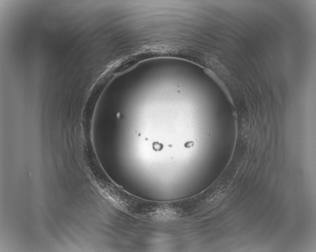 X0000059820256200510211154