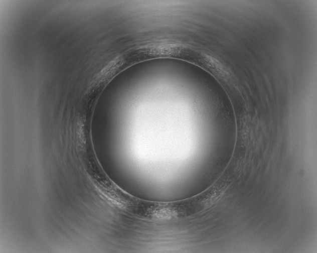 X0000059820258200510211154