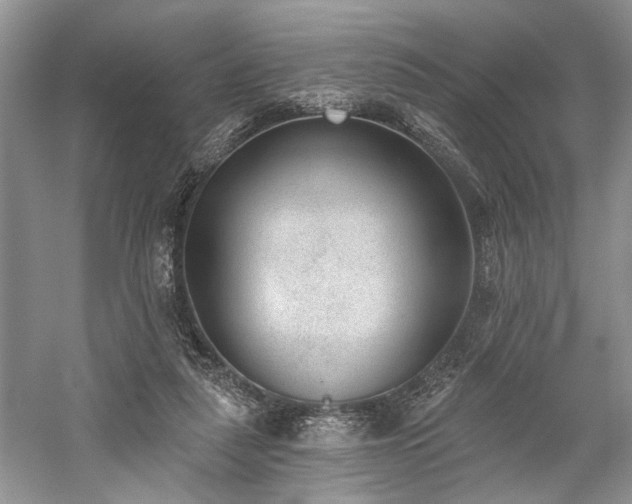 X0000059820259200510211154