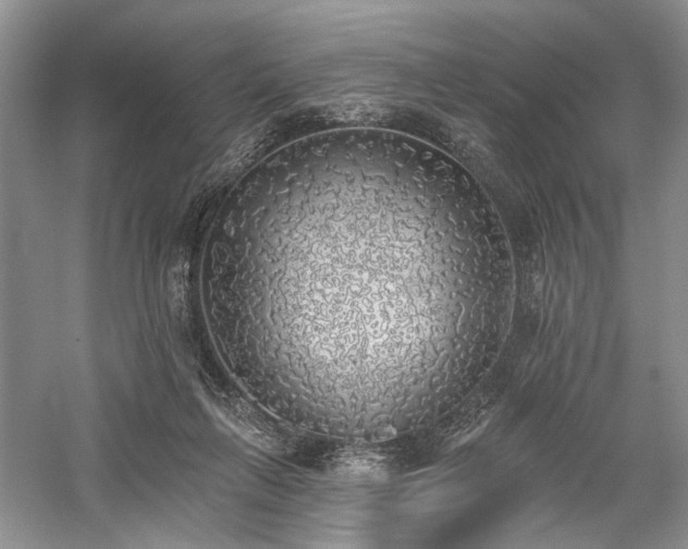 X0000059820263200510211154