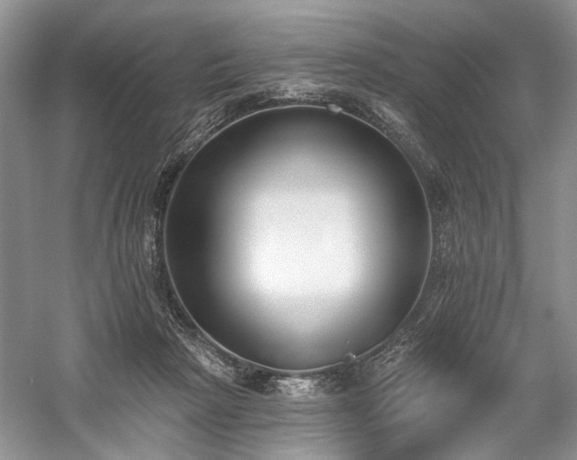 X0000059820265200510211154