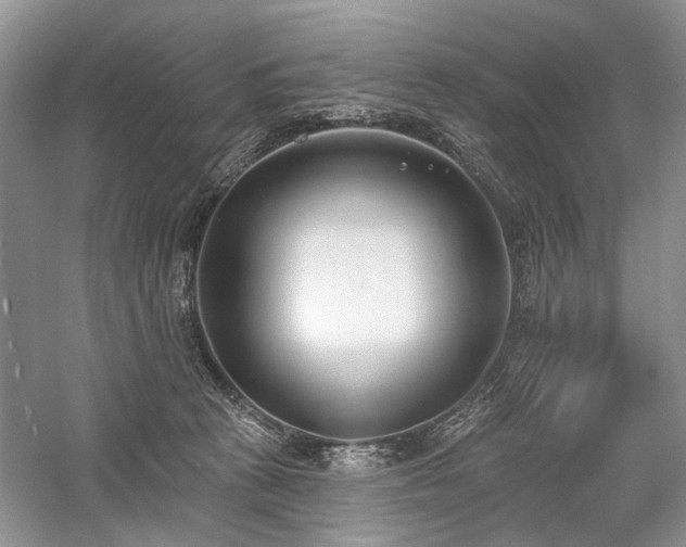 X0000059820273200510211154