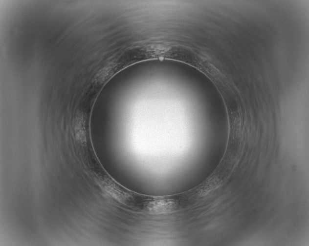 X0000059820274200510211154