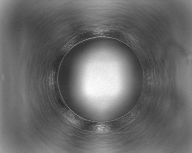 X0000059820275200510211154