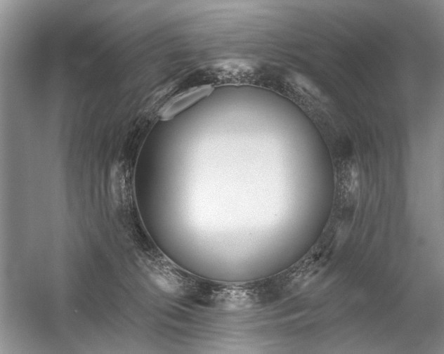 X0000059820276200510211154