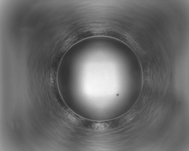 X0000059820277200510211154