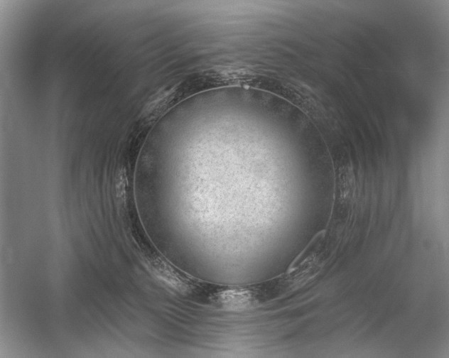 X0000059820279200510211154