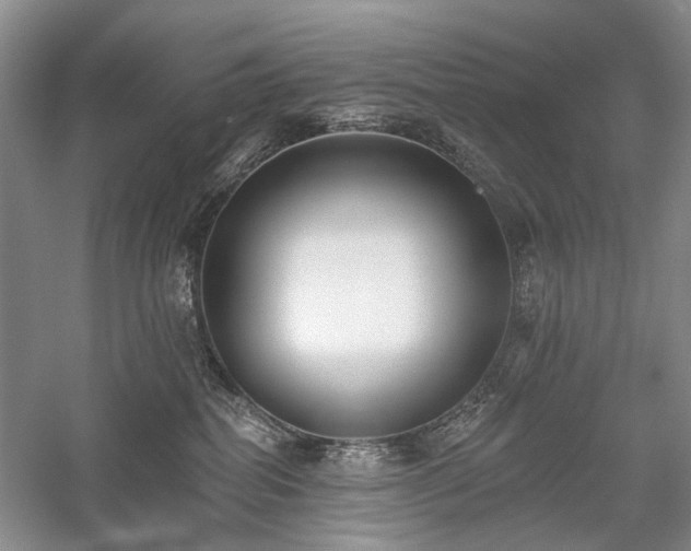 X0000059820282200510211155