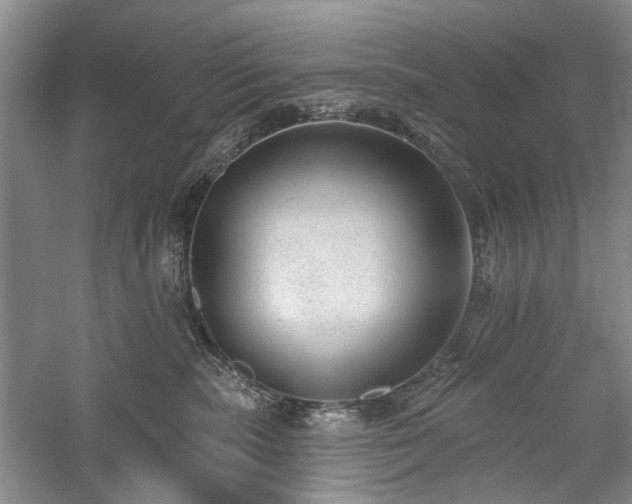 X0000059820283200510211155