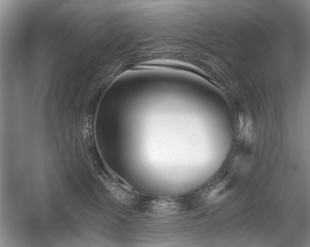 X0000059820284200510211155