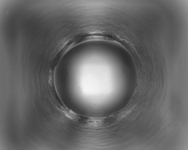 X0000059820288200510211155