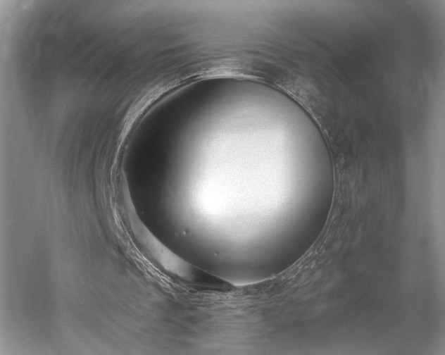 X0000059820289200510211154