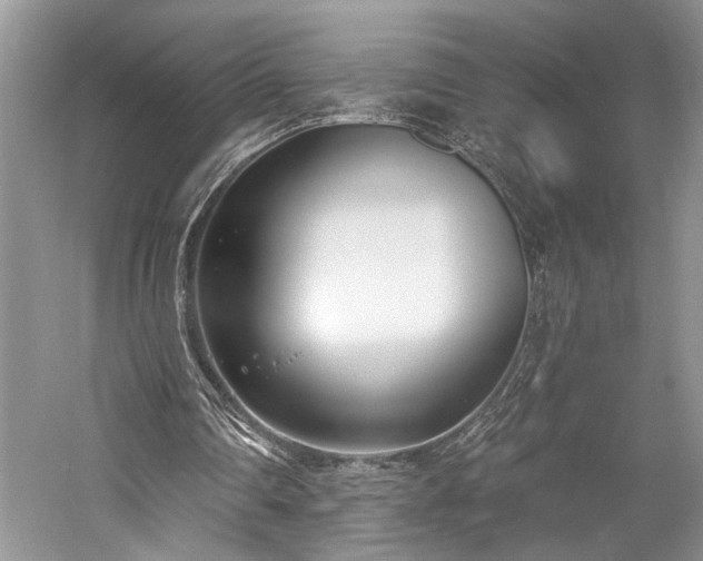 X0000059820290200510211154