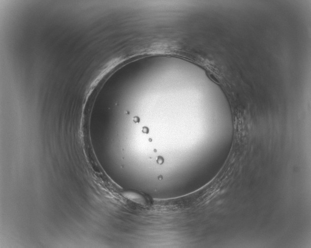 X0000059820292200510211154