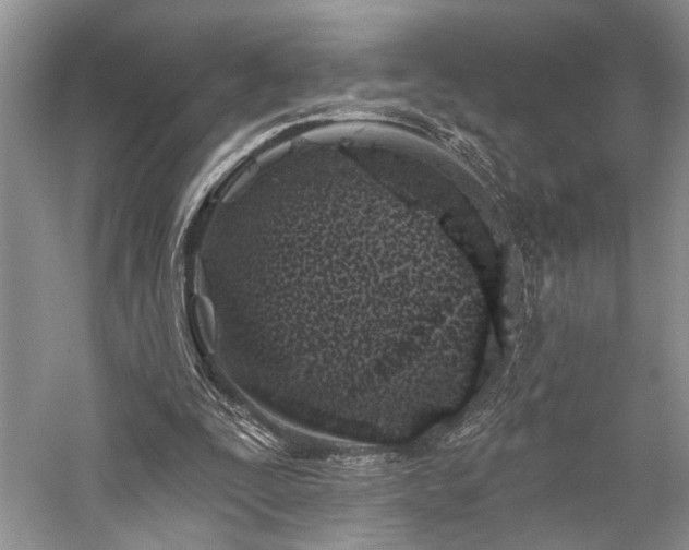 X0000059820295200510211154