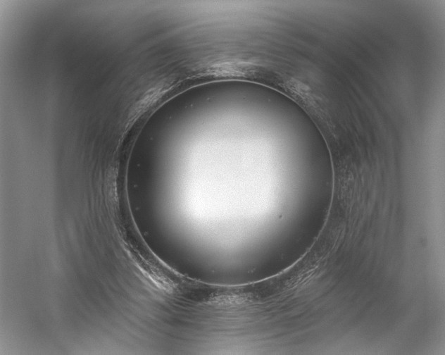 X0000059820299200510211154