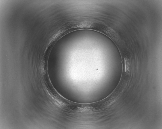 X0000059820300200510211154