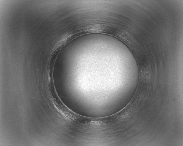 X0000059820302200510211154