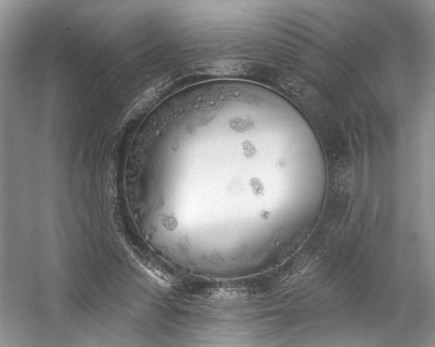 X0000059820303200510211154