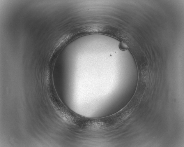 X0000059820304200510211154