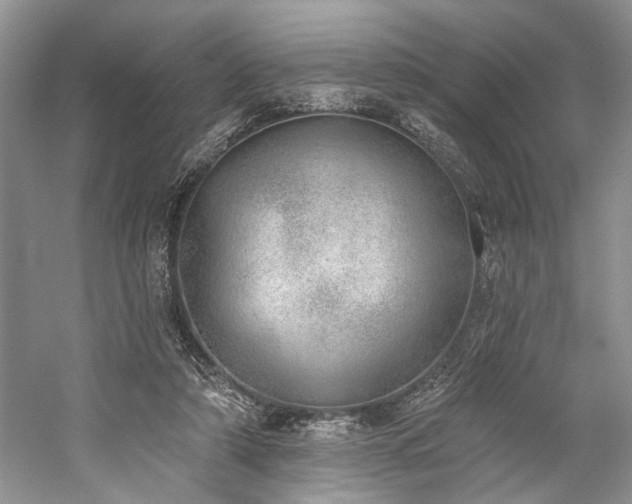 X0000059820306200510211154