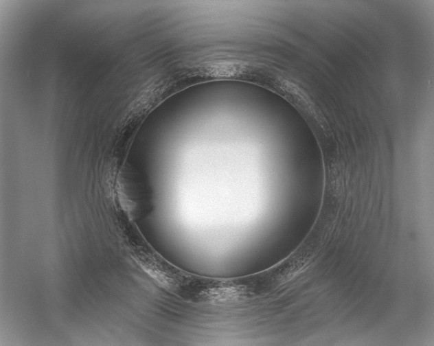 X0000059820307200510211154