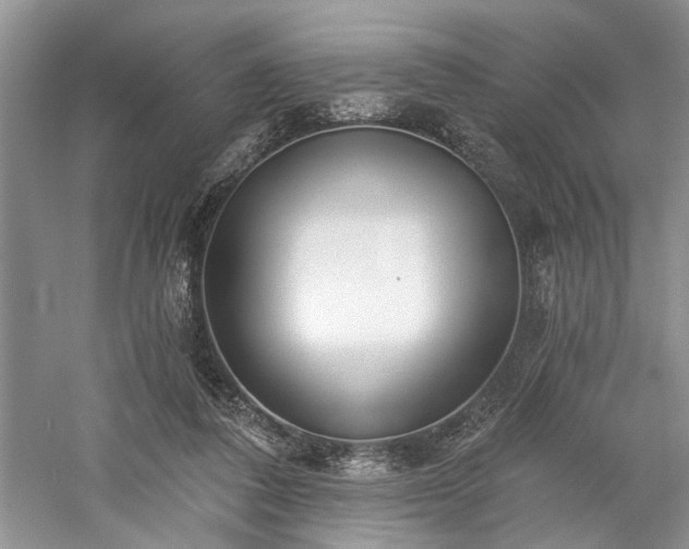 X0000059820308200510211153