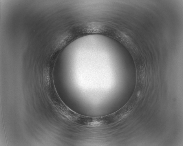 X0000059820312200510211153