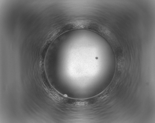 X0000059820314200510211153