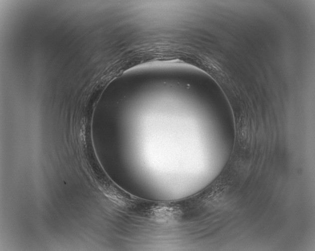 X0000059820315200510211153