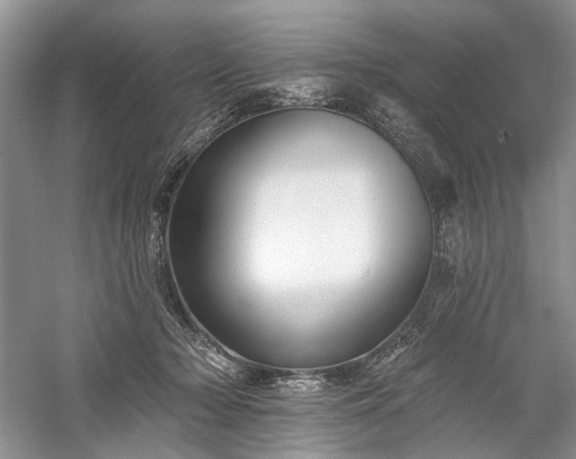 X0000059820318200510211153