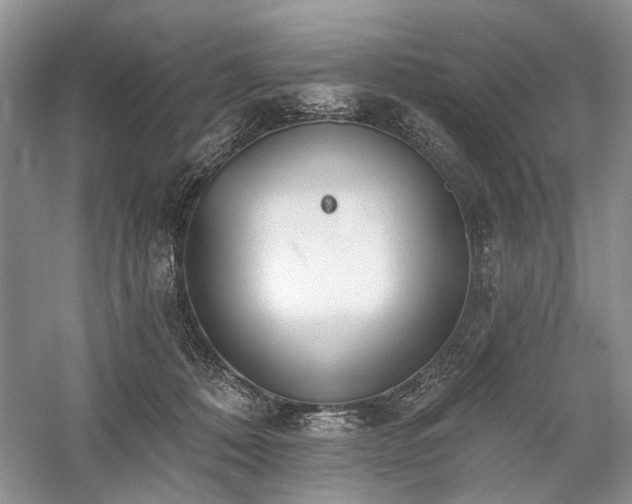 X0000059820320200510211153