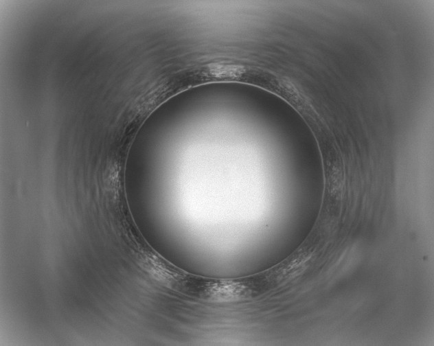 X0000059820321200510211153