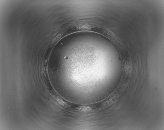 X0000059820322200510211153