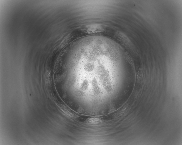 X0000059820327200510211153