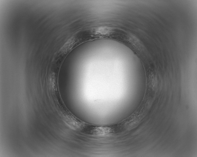 X0000059820328200510211153