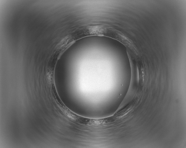 X0000059820329200510211153