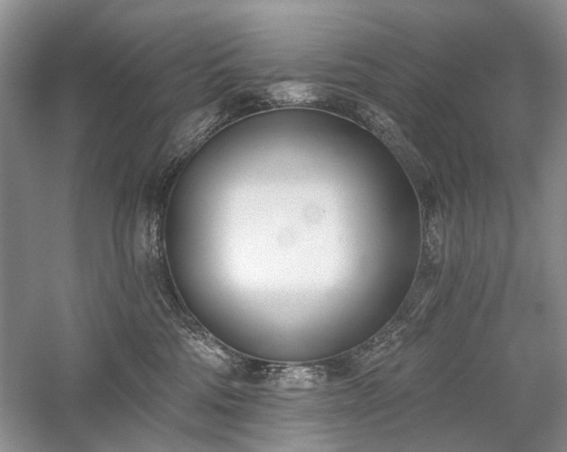 X0000059820330200510211153