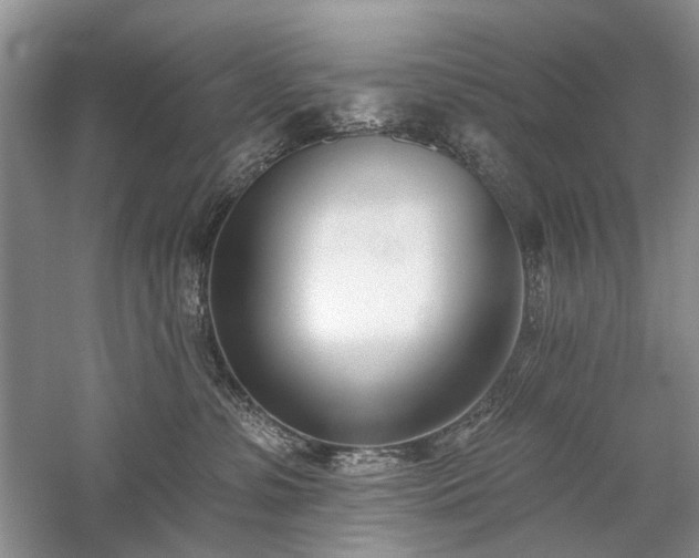 X0000059820331200510211153