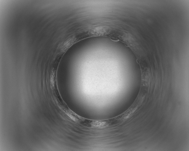 X0000059820334200510211153