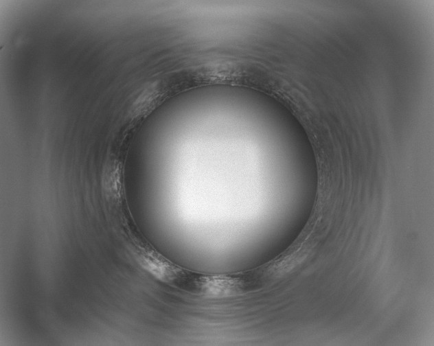 X0000059820336200510211153