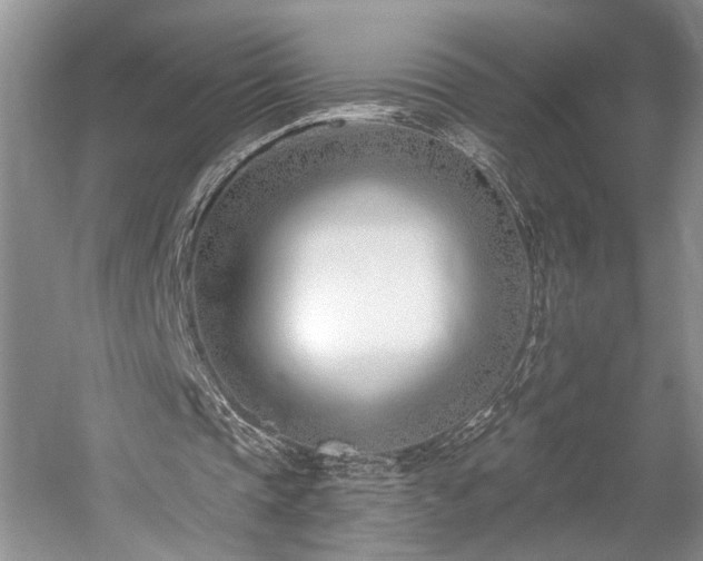 X0000059820337200510211152