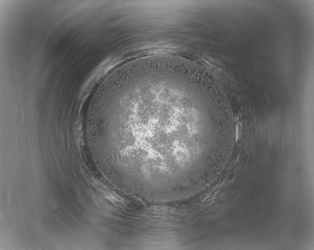 X0000059820339200510211152